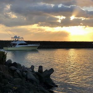 Meet your Posher, Oliver